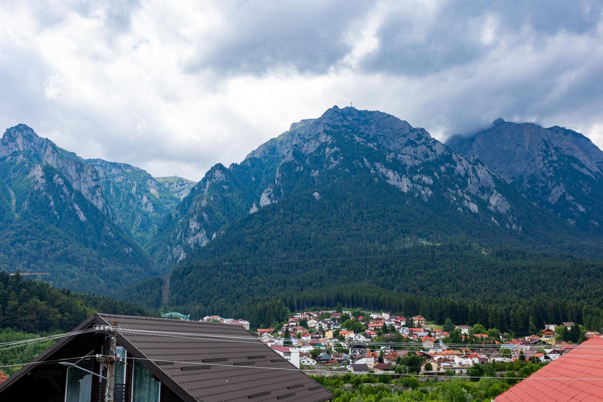 The Bear House Villa Buşteni Exteriör bild