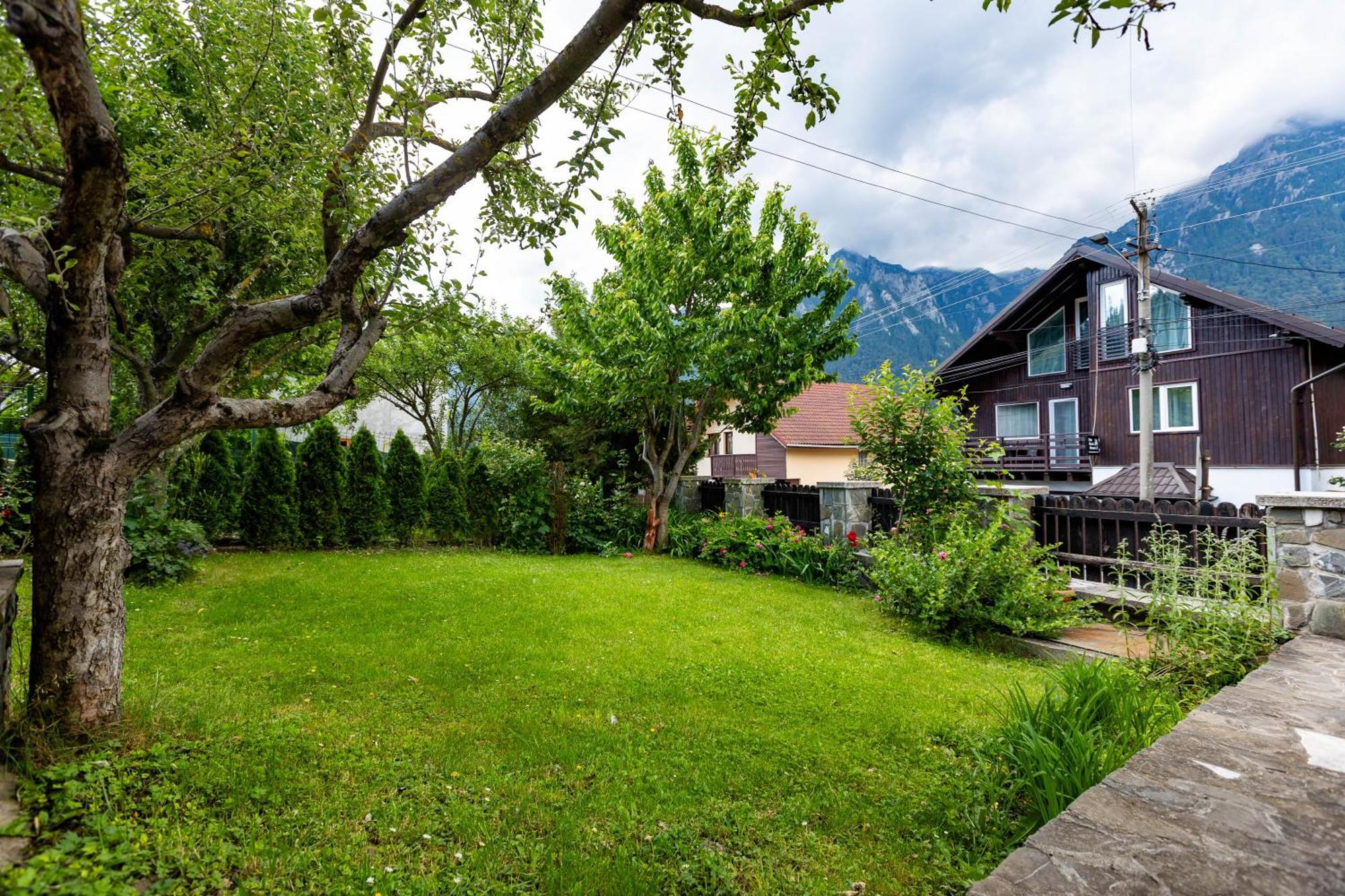 The Bear House Villa Buşteni Exteriör bild